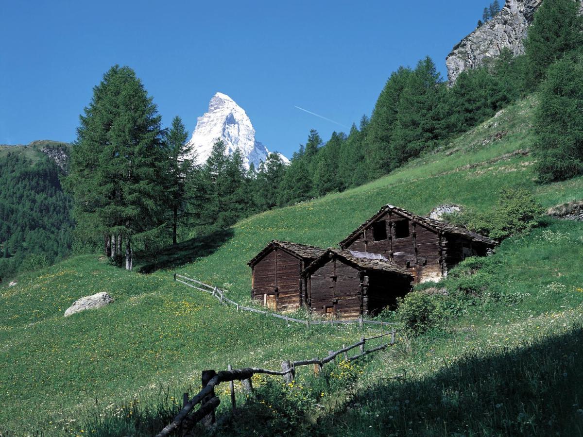 Apartment Grillon-3 By Interhome Zermatt Exteriör bild